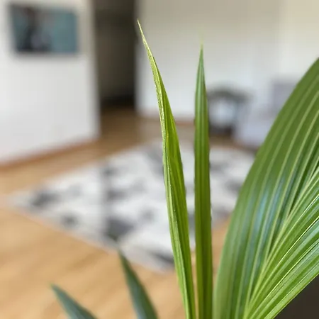 Sloneczny Lokietka ソポト